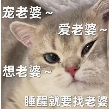 机械手黄生