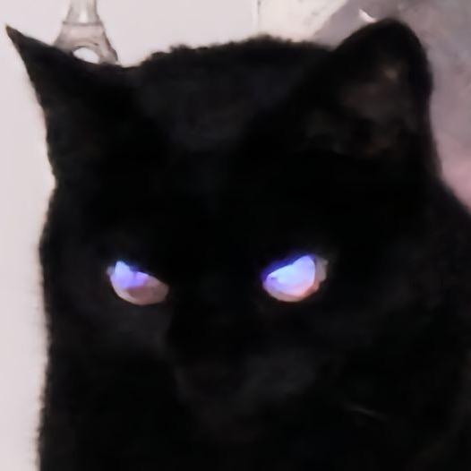 Bot.