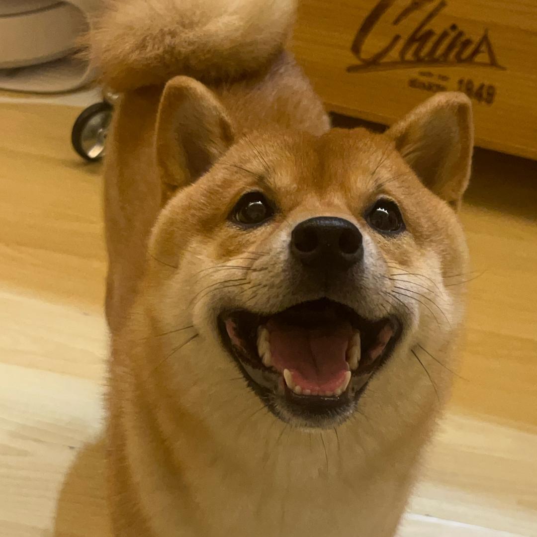 包晴天不是包青天