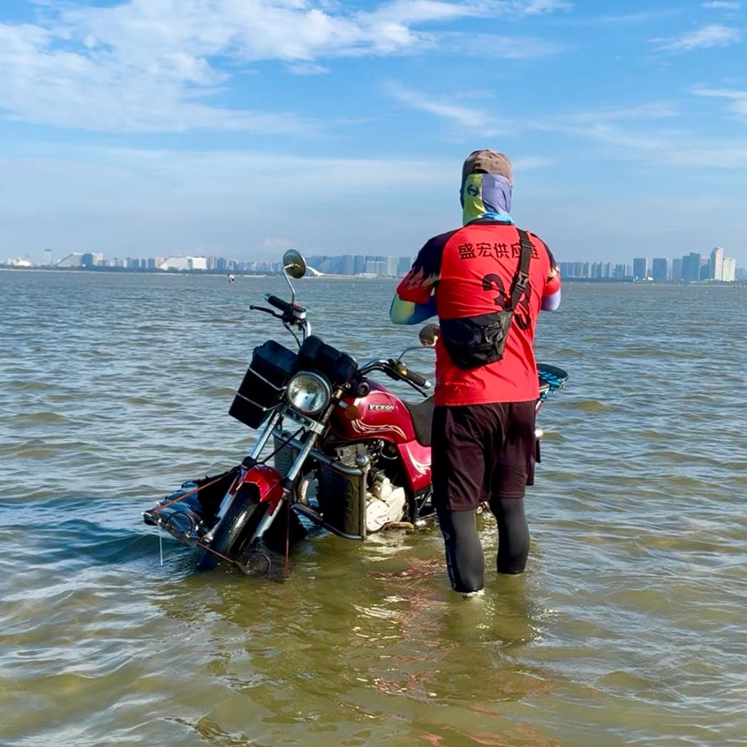 阿丰赶海（有问题点我头像都知道）