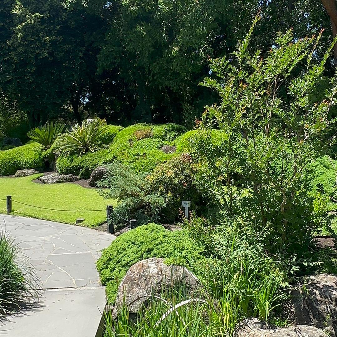 喜洋洋在澳洲