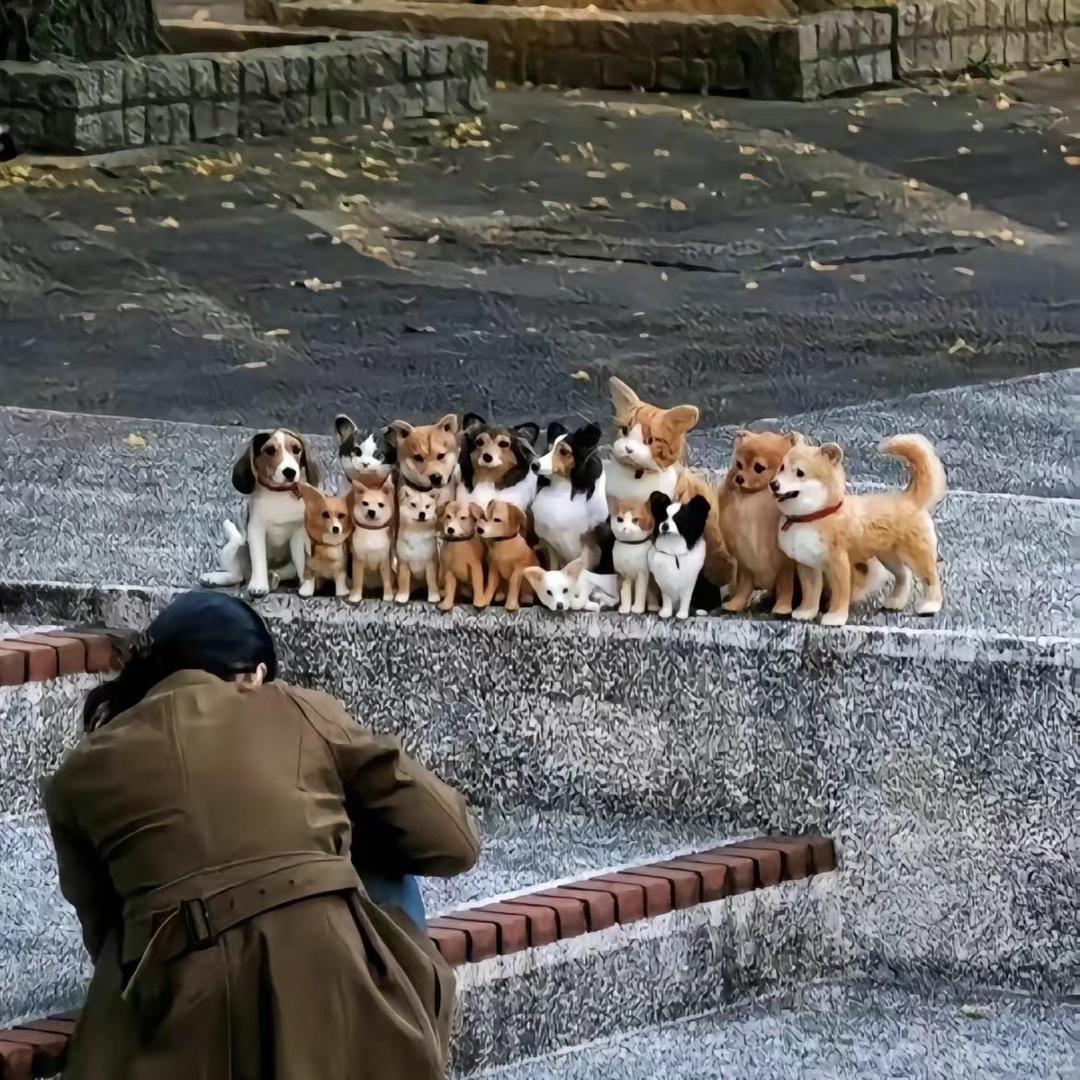 瓜瓜