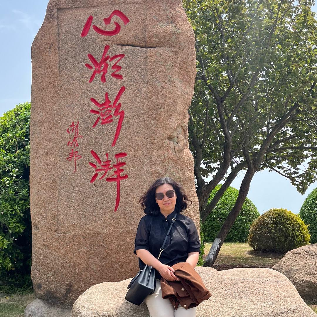 🇨🇳鸿雁