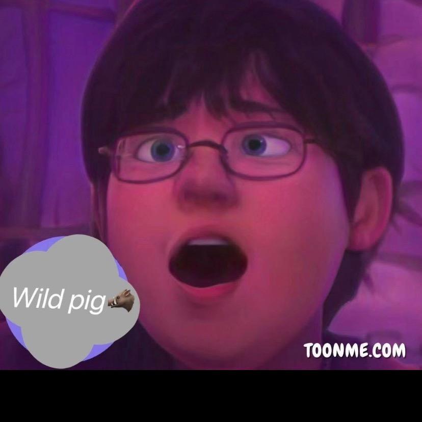 wildpiggy