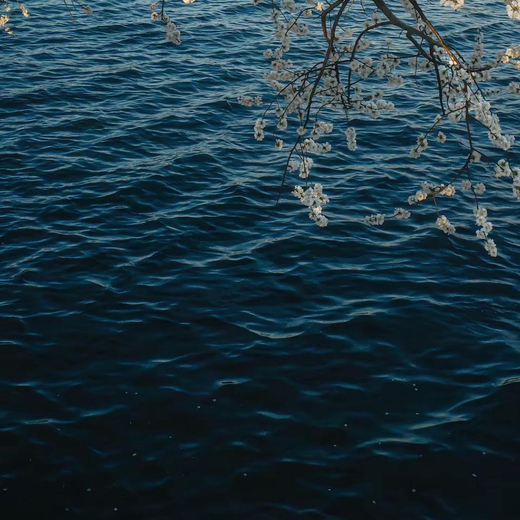 🧗‍♂️🏔️