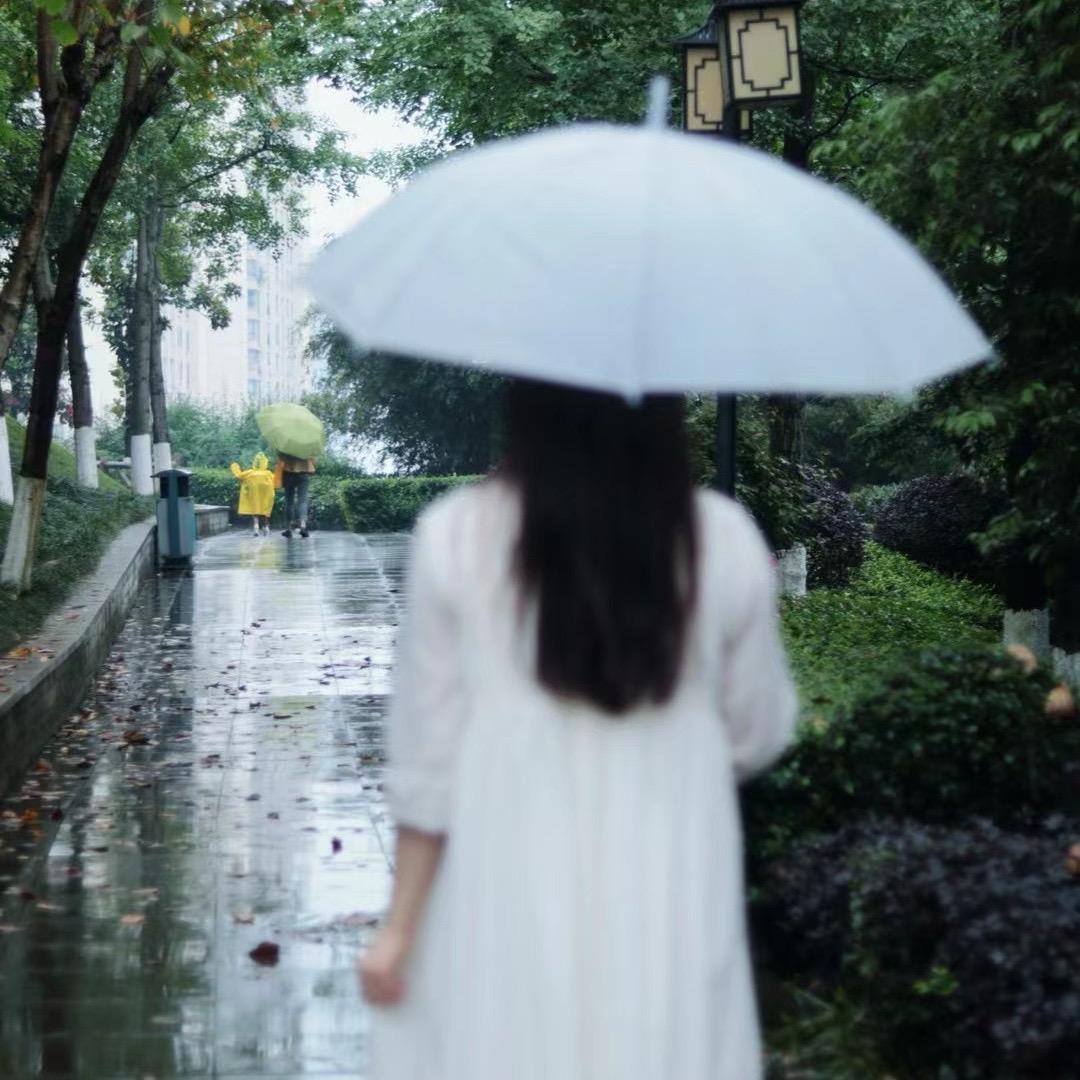 全是对的