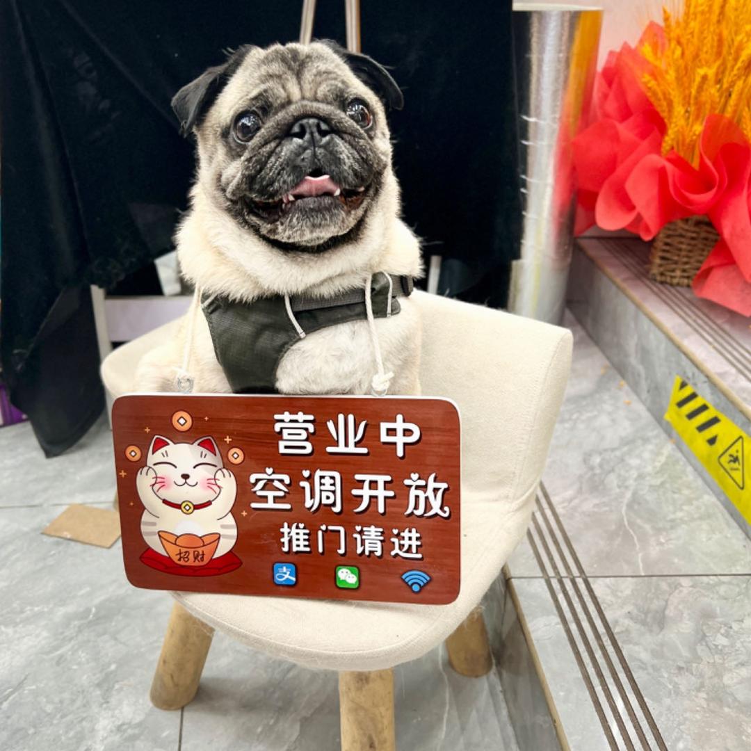 三六
