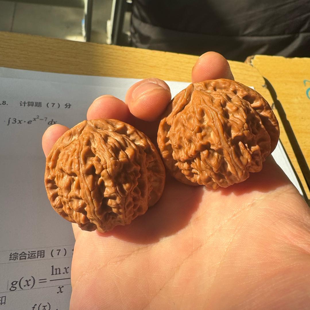 瞎玩📿