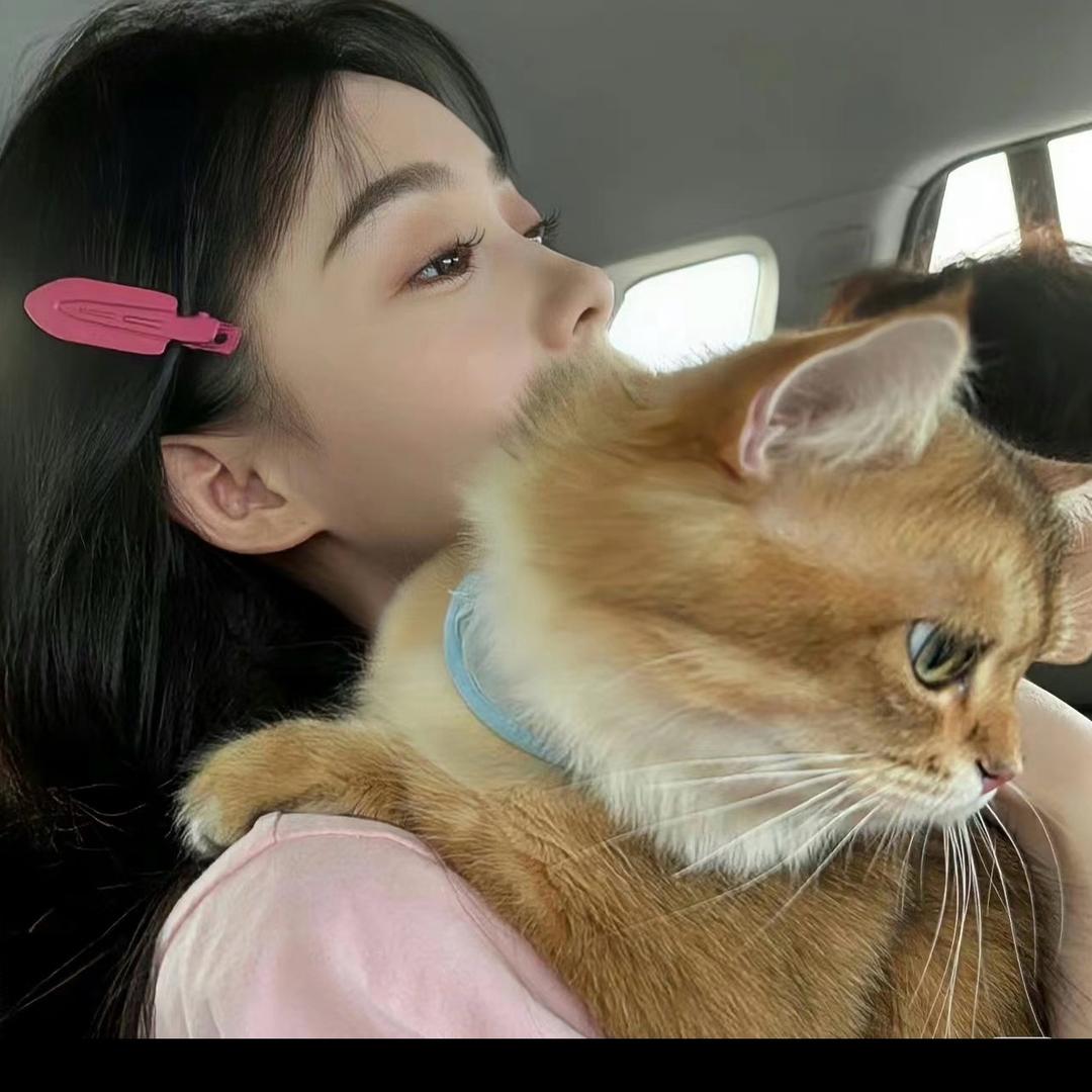 小猫病