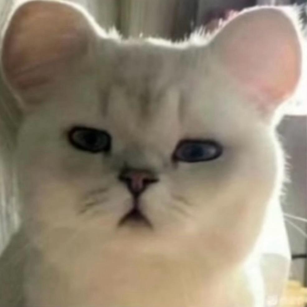 ♥҈҉҈҉҈҉҈҉҈҉҈҉雀时儿