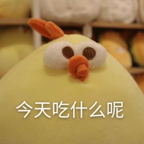 今天吃什么
