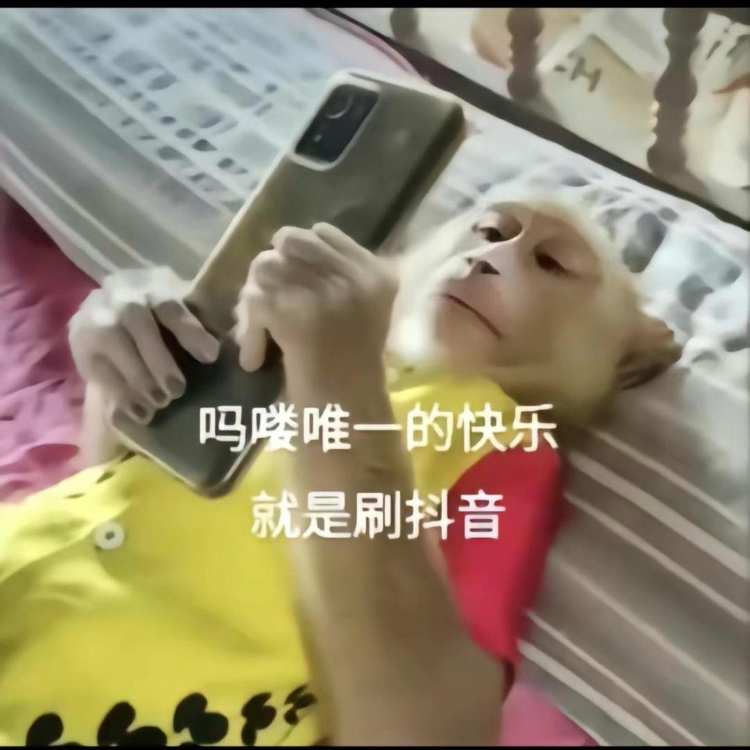 Wang 涛