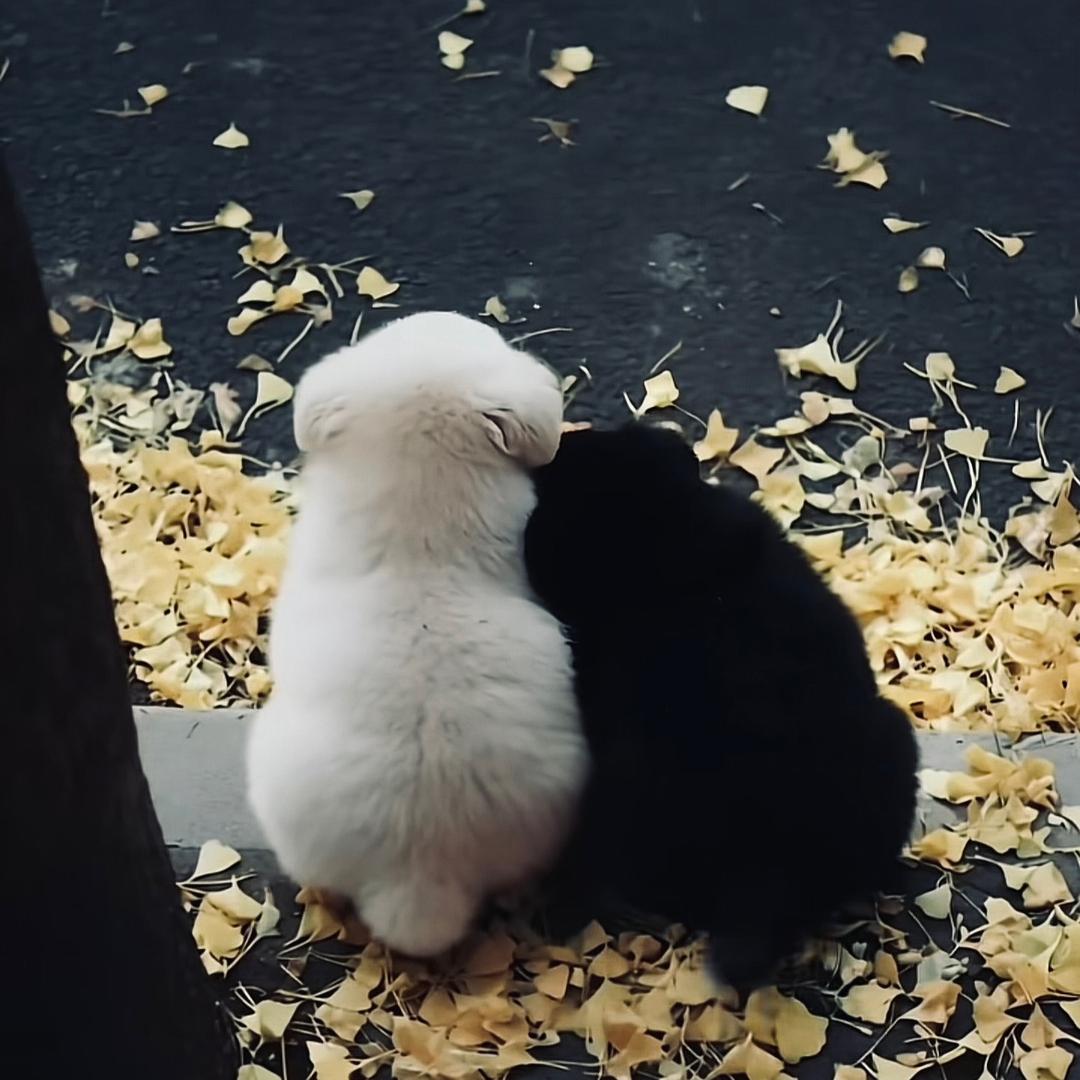 八月。