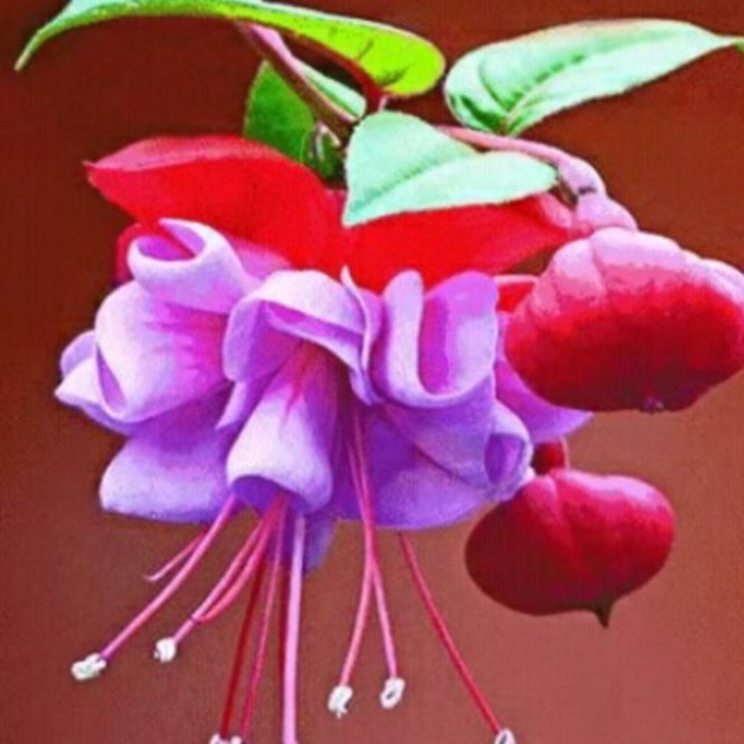 何必在意，🌸