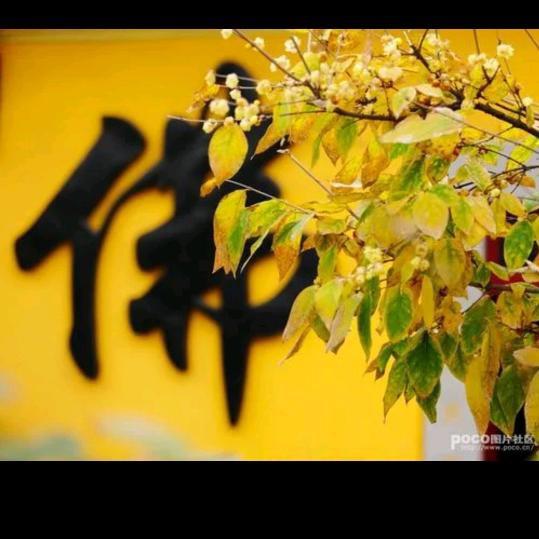 平安喜乐小可乐(勿喷，不想看出门右拐)