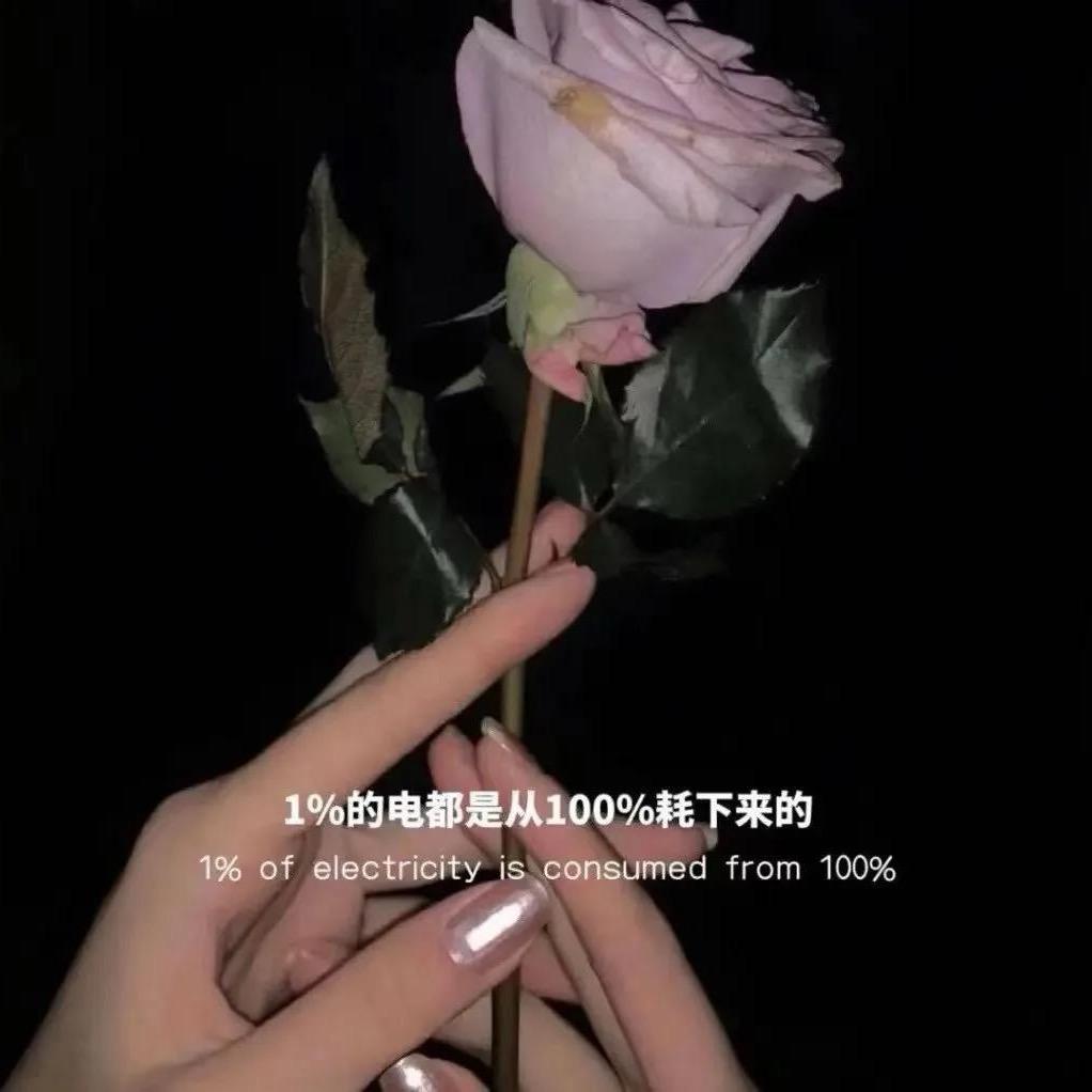 老板来箱江小白