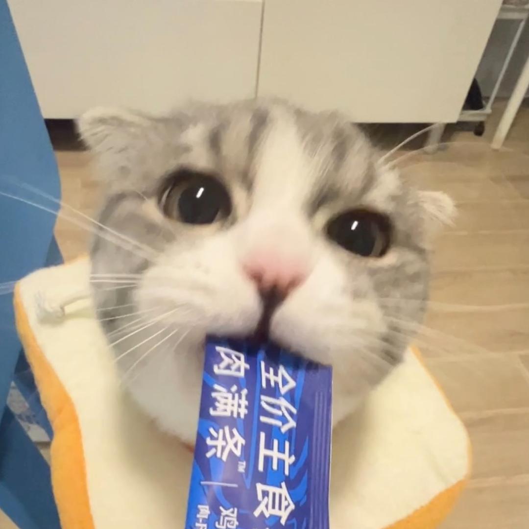 李雪饼