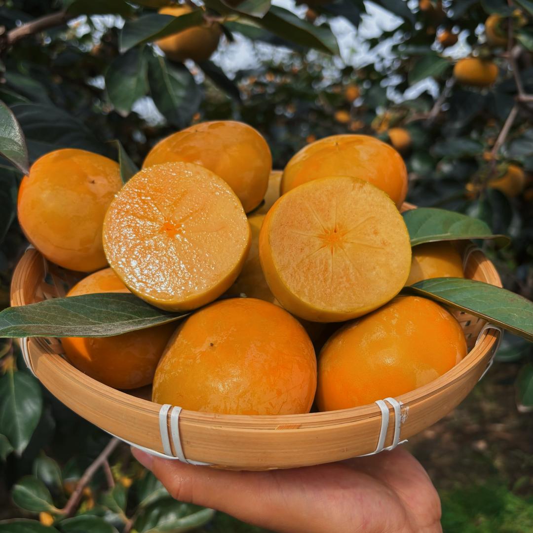 方婆婆鲜果园 阳丰脆柿