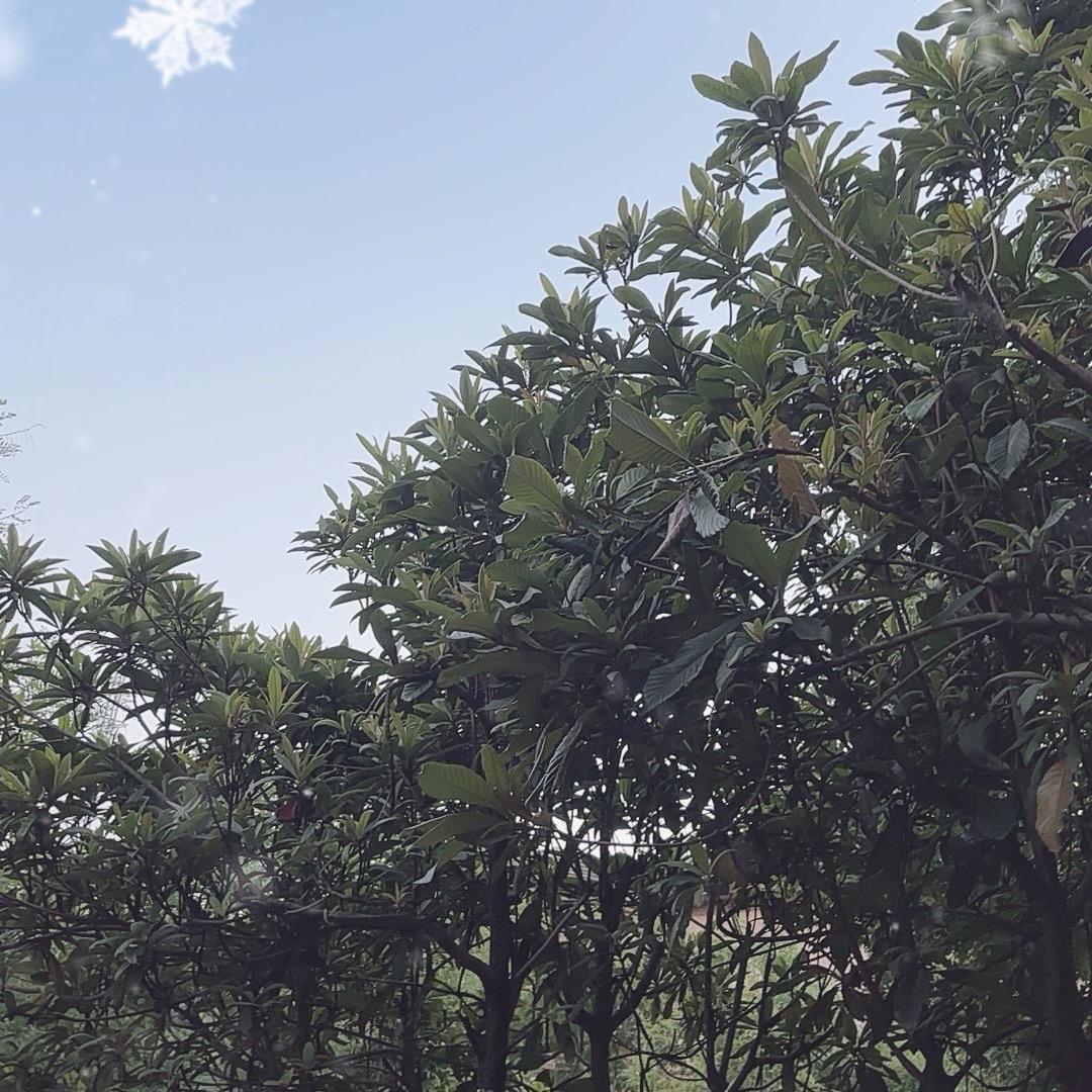 ❤️❤️👩‍❤️‍👨👨‍👩‍👧‍👦