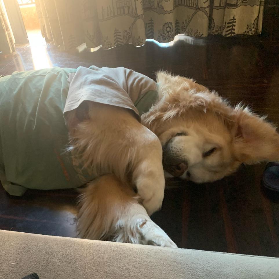 💱迓傑👁️‍🗨️