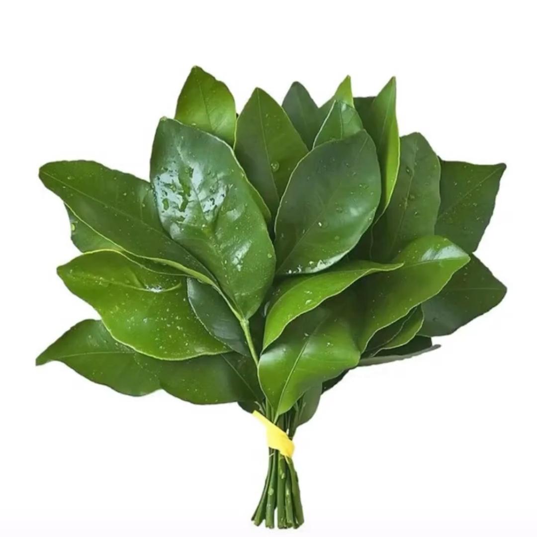 认真教化妆的粥·粥（收学员）