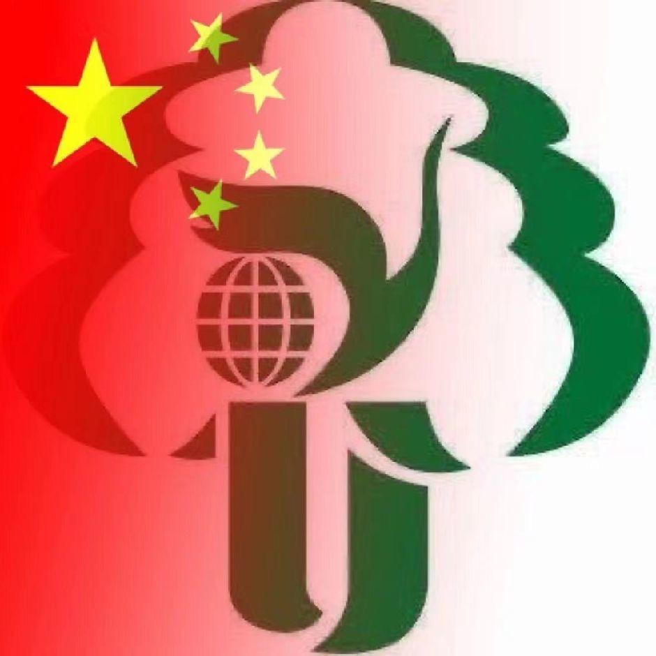扬州大学专接本咨询