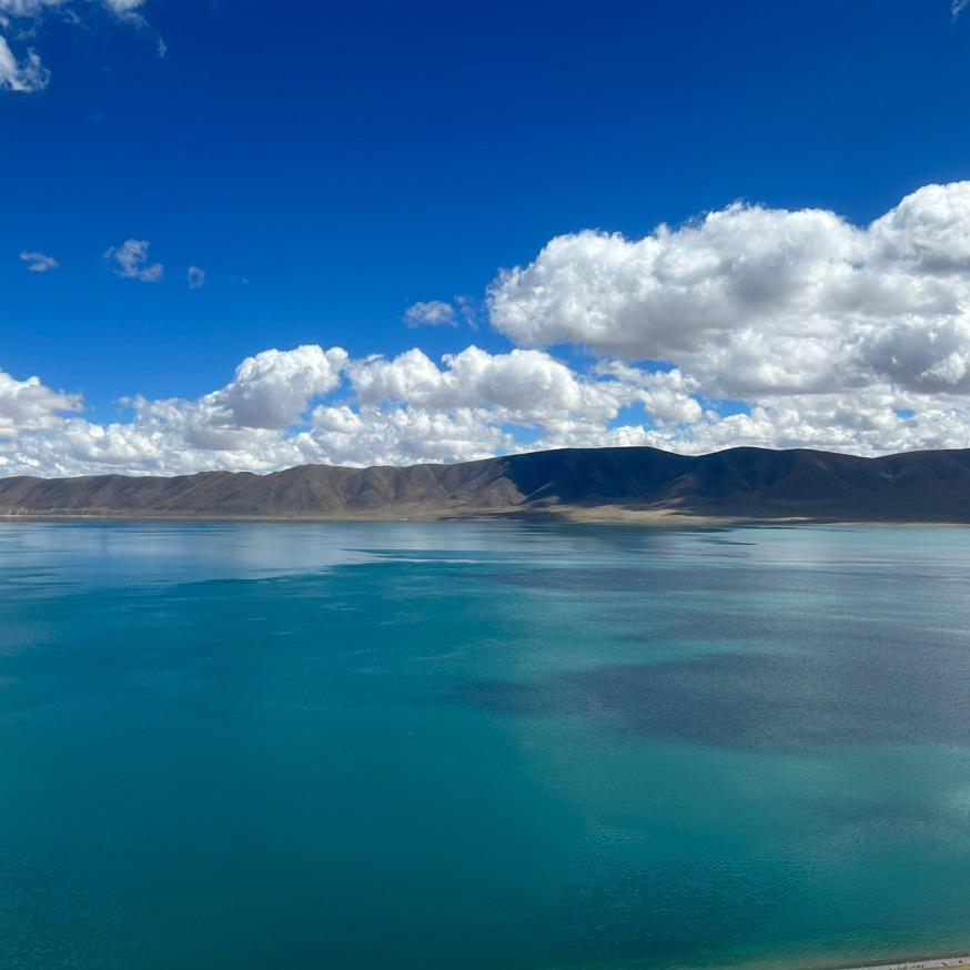 拉萨白银回收  小沈