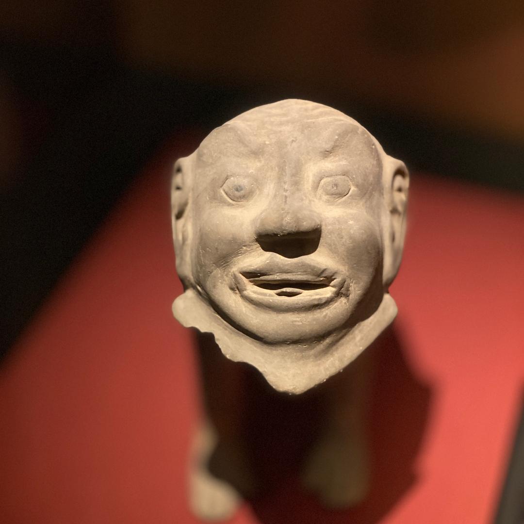 兔兔桃子