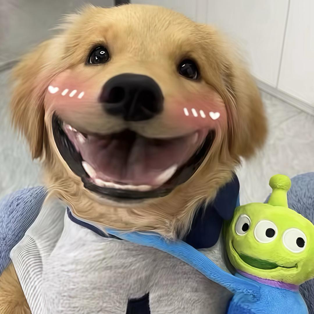 阿茶.