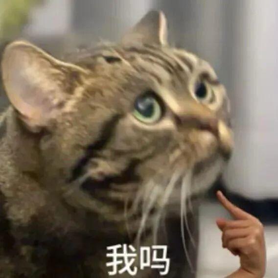 不知名贫民😓