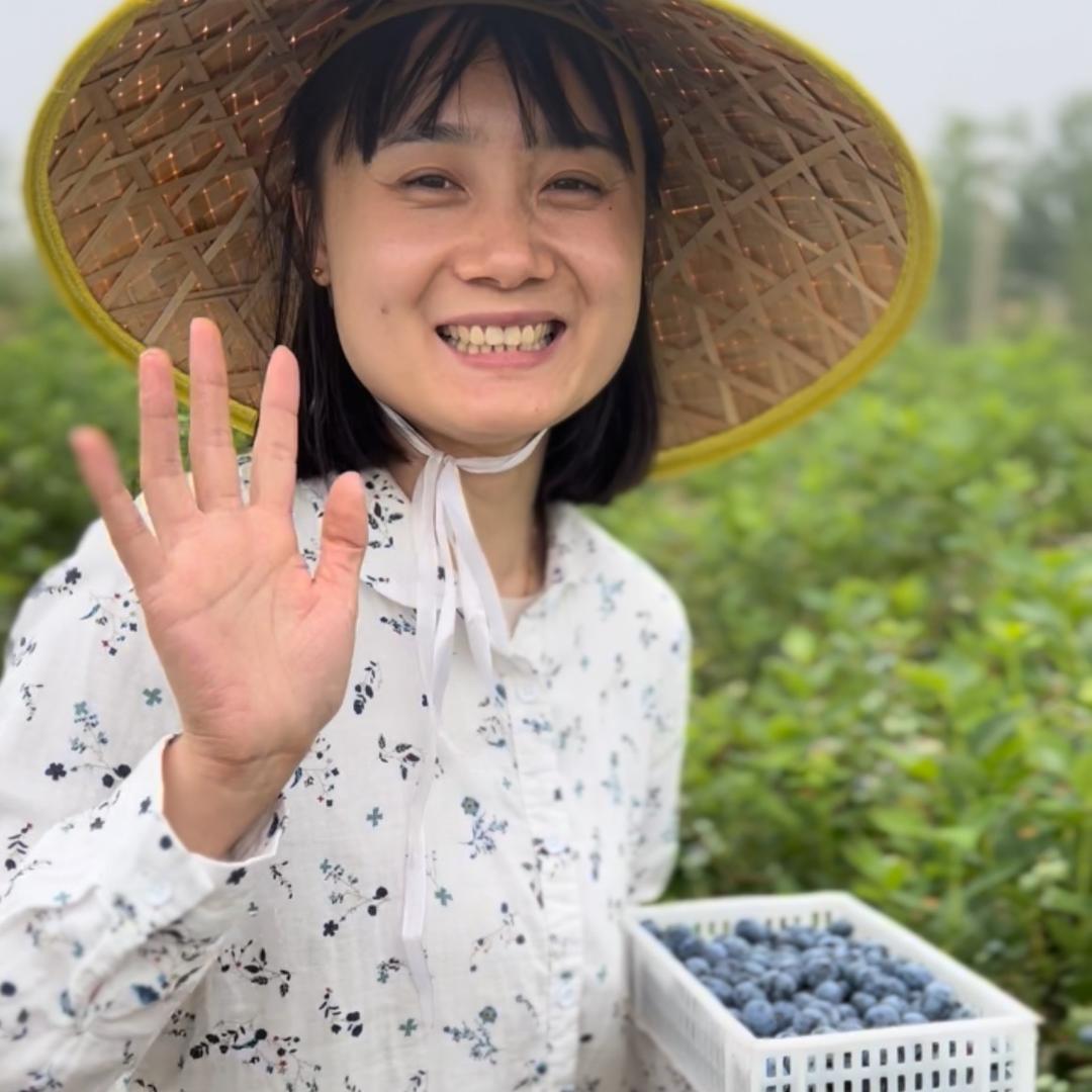 大梅子家的蓝莓