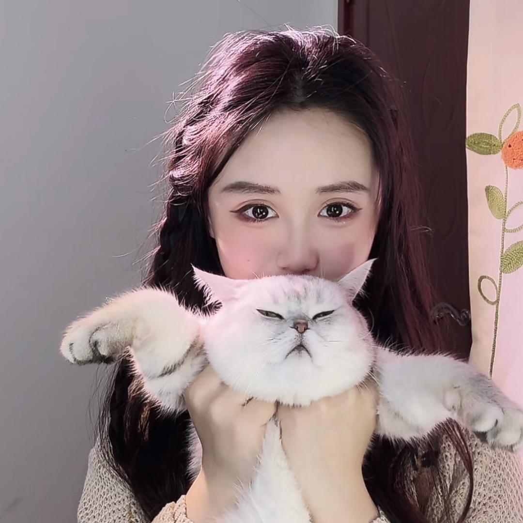 叮叮🌸