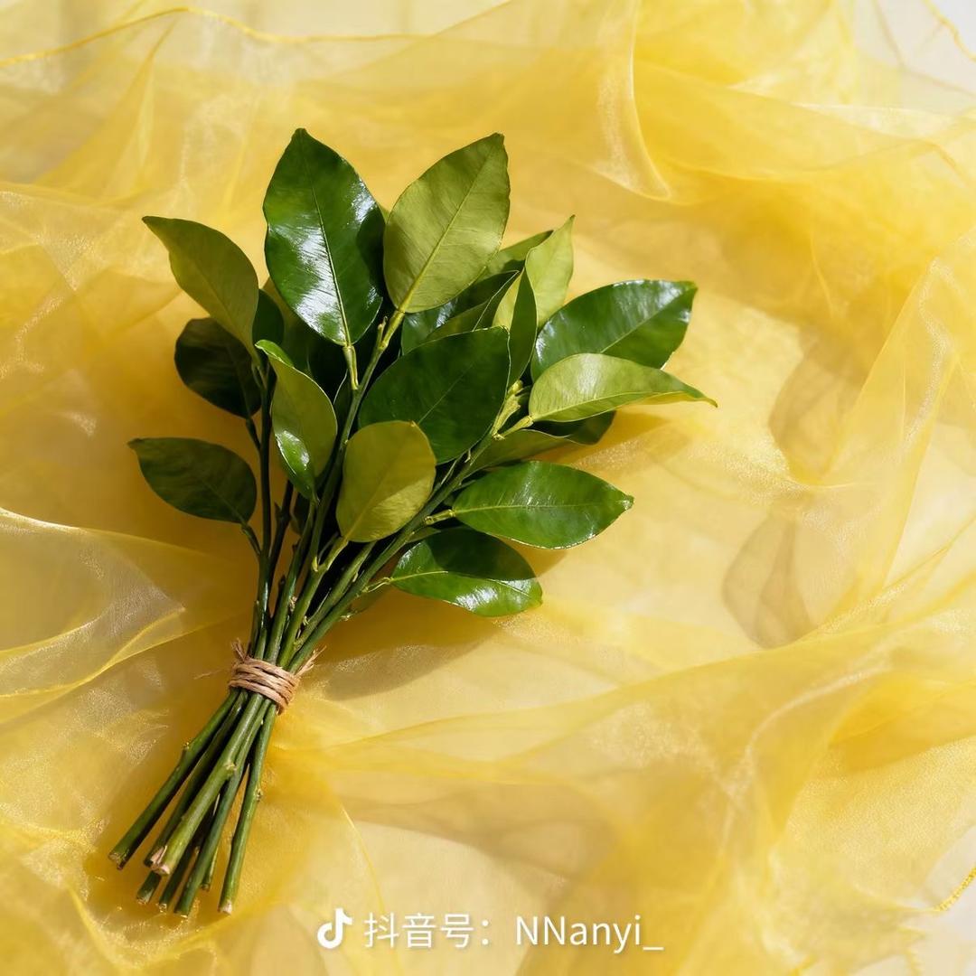 ……………………