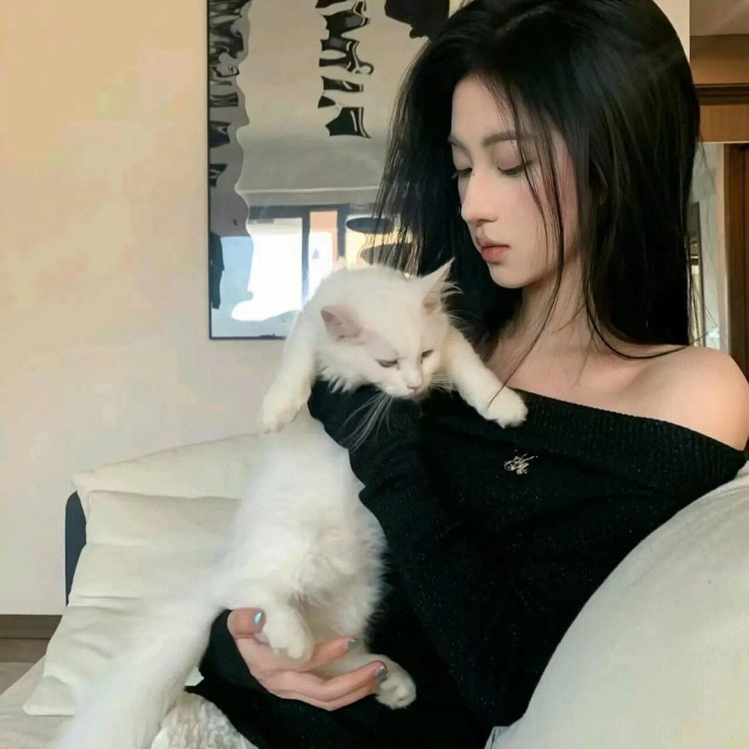 簪情顾意