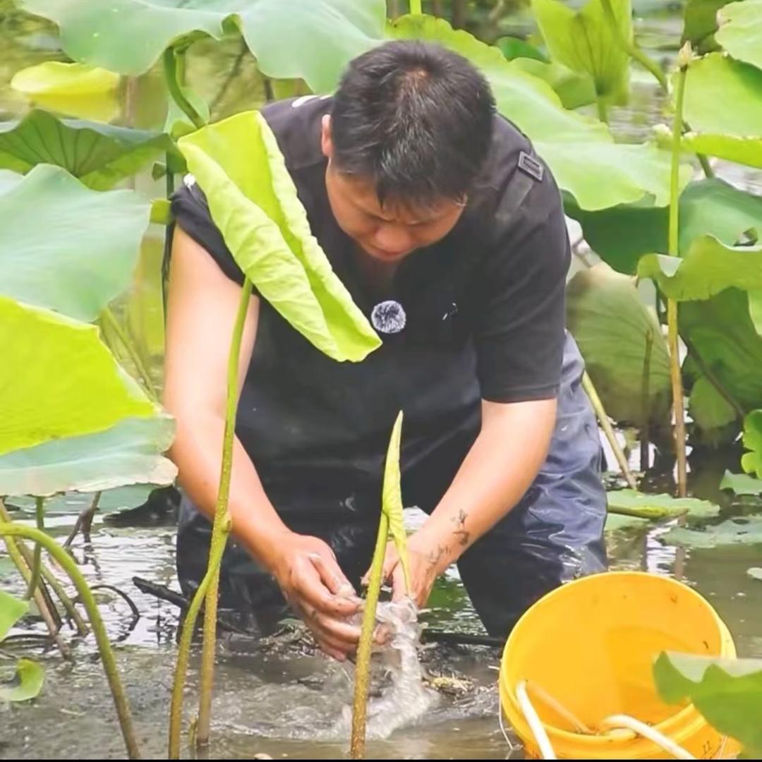 闲不住的小辉哥