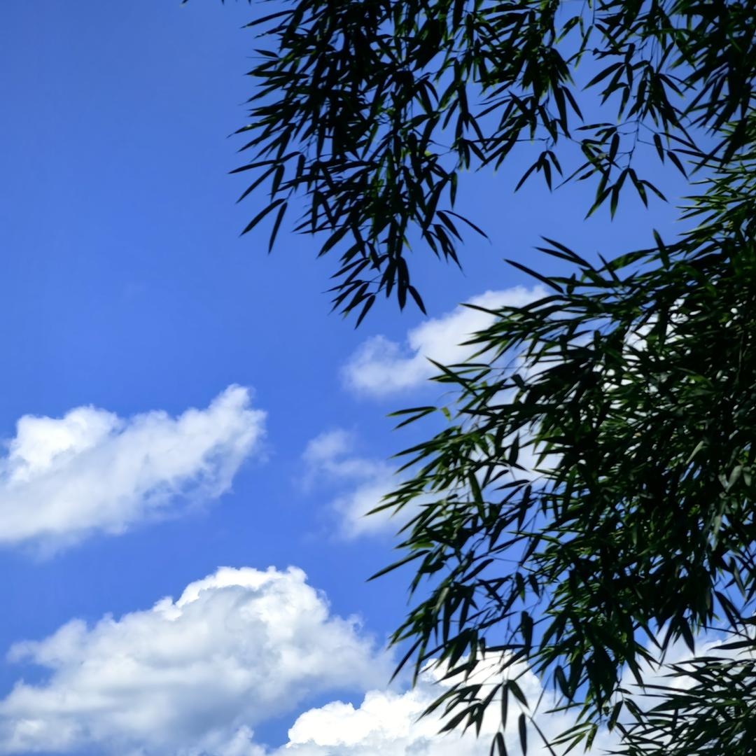 桐心行贸易蒋勋商品臻选阁