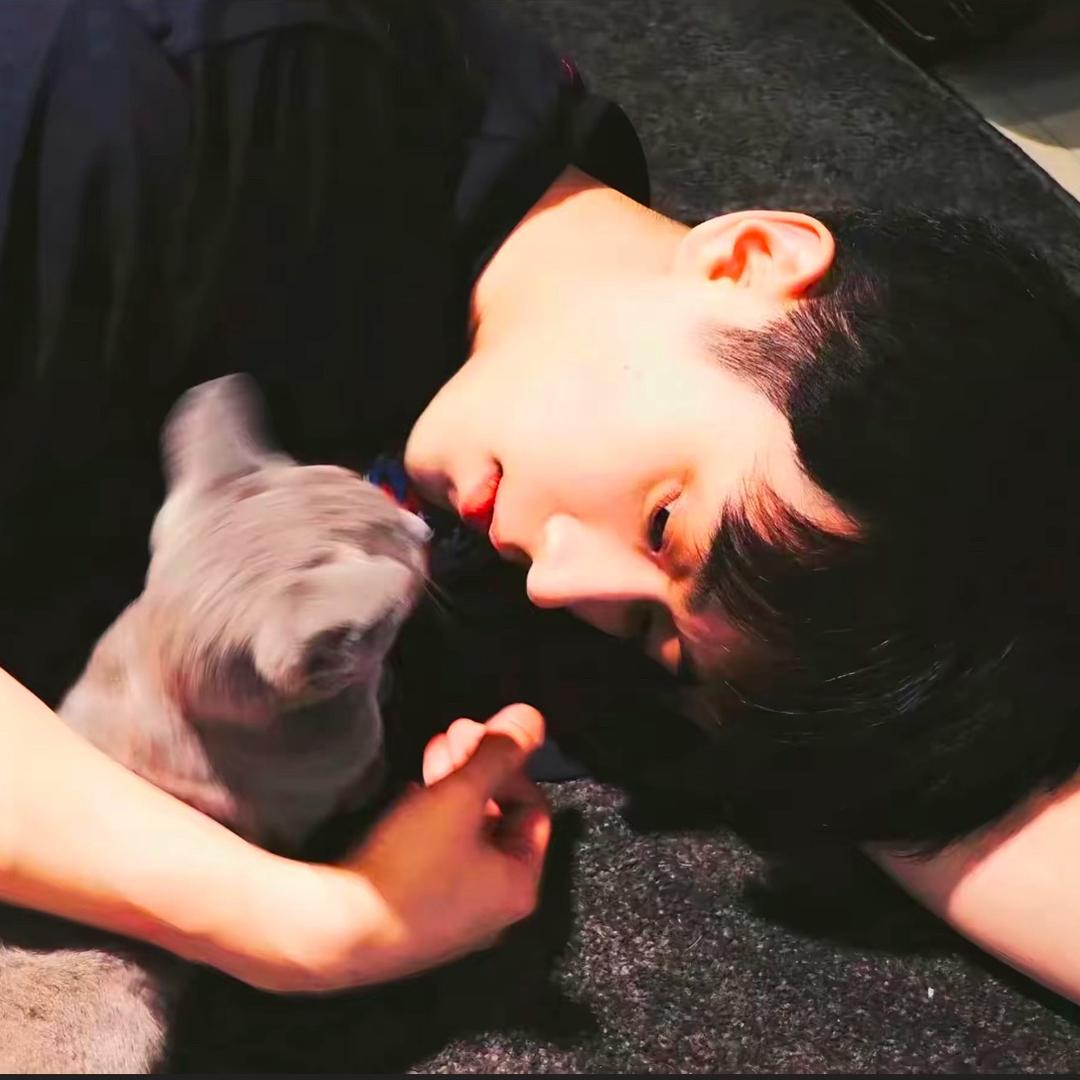 尘。。