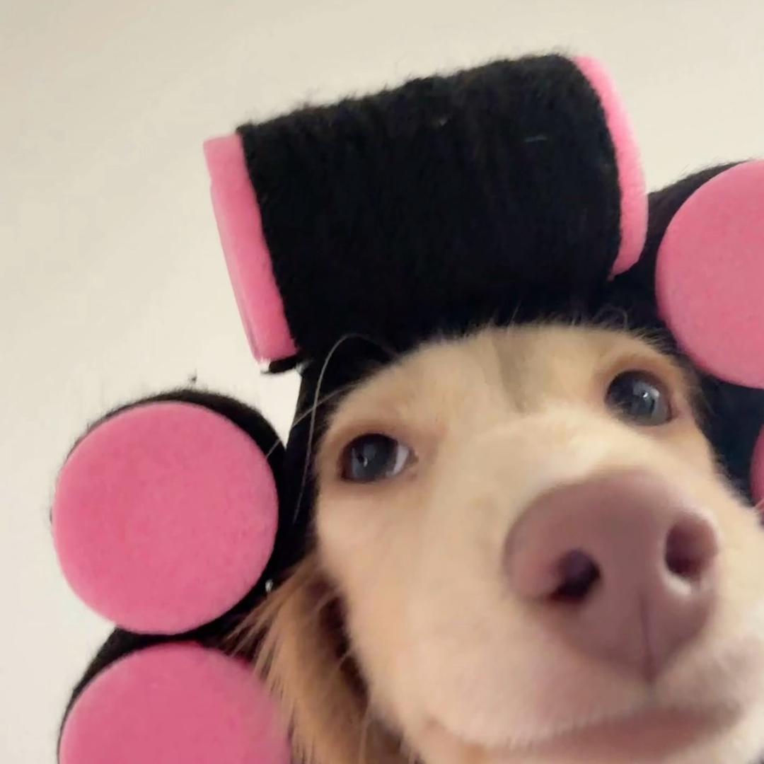 多次拒绝金亨泰