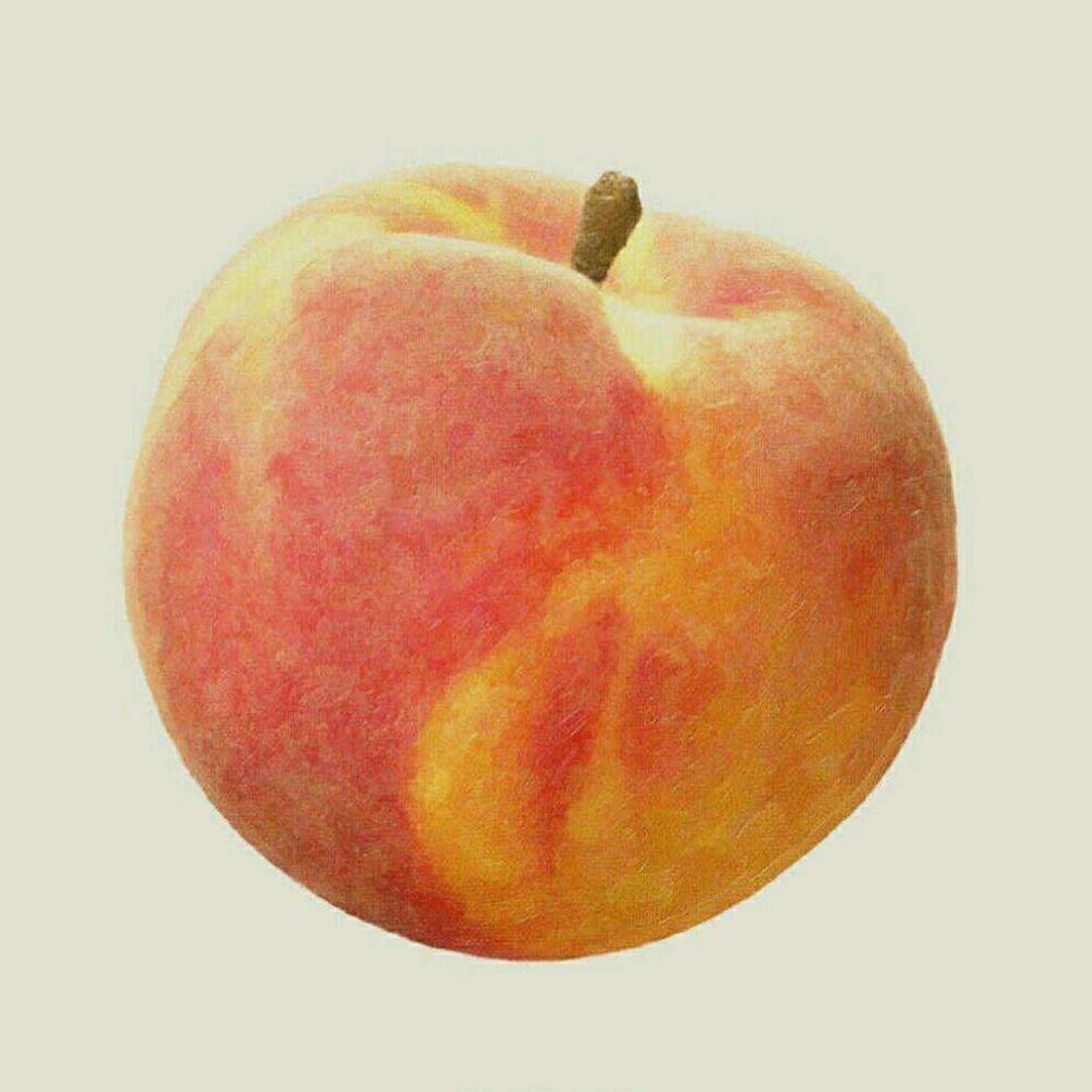 佐伊不是我真名