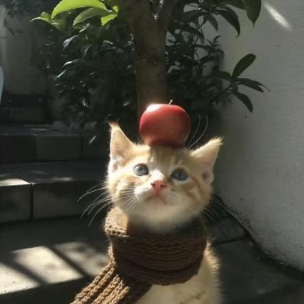 坏蛋