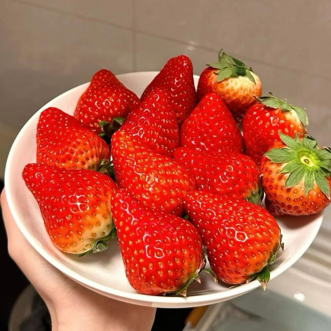 水果很甜🍓🍒