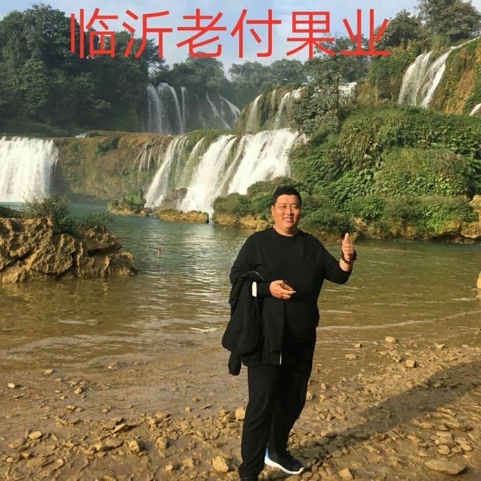 山东临沂 老付果业