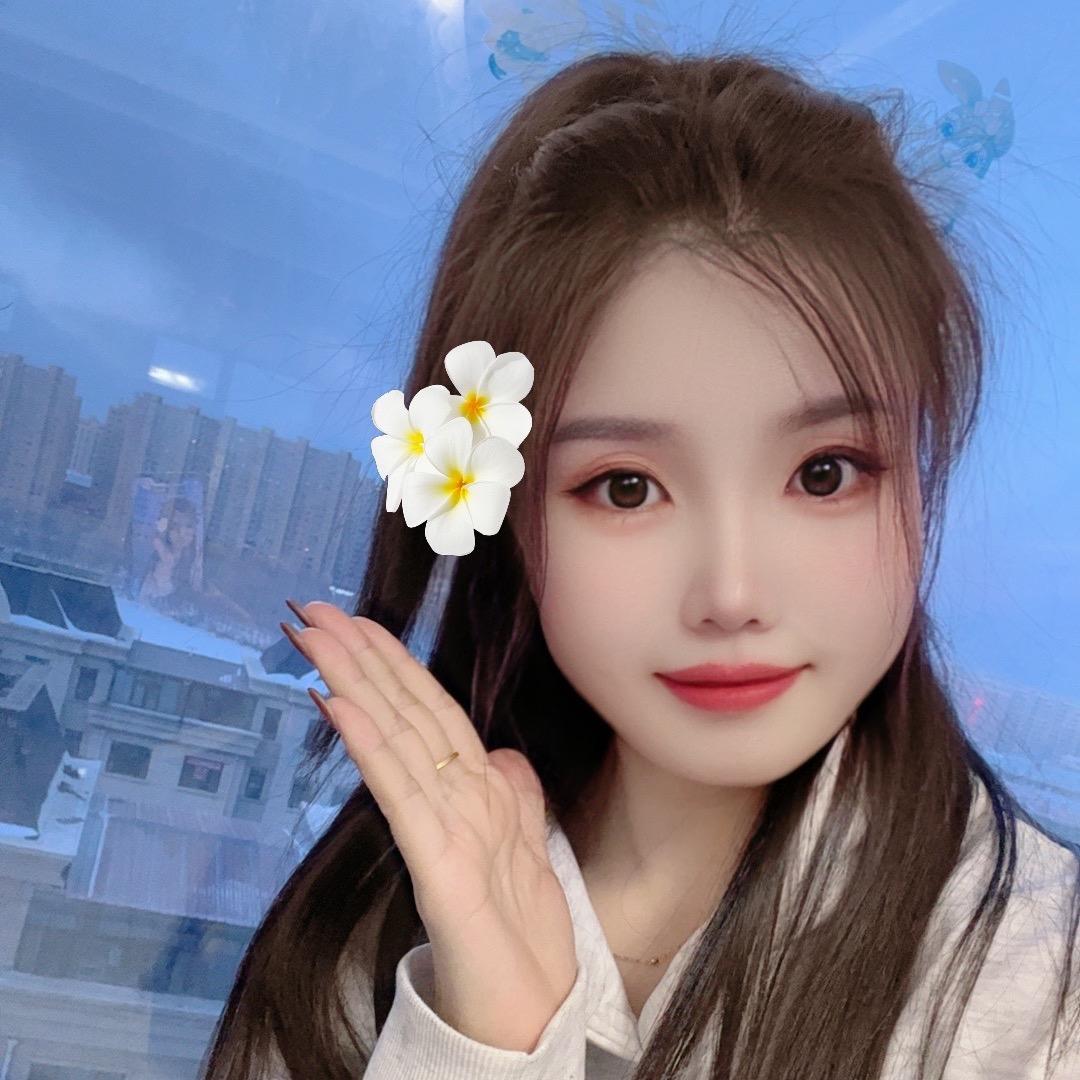 李李1.0