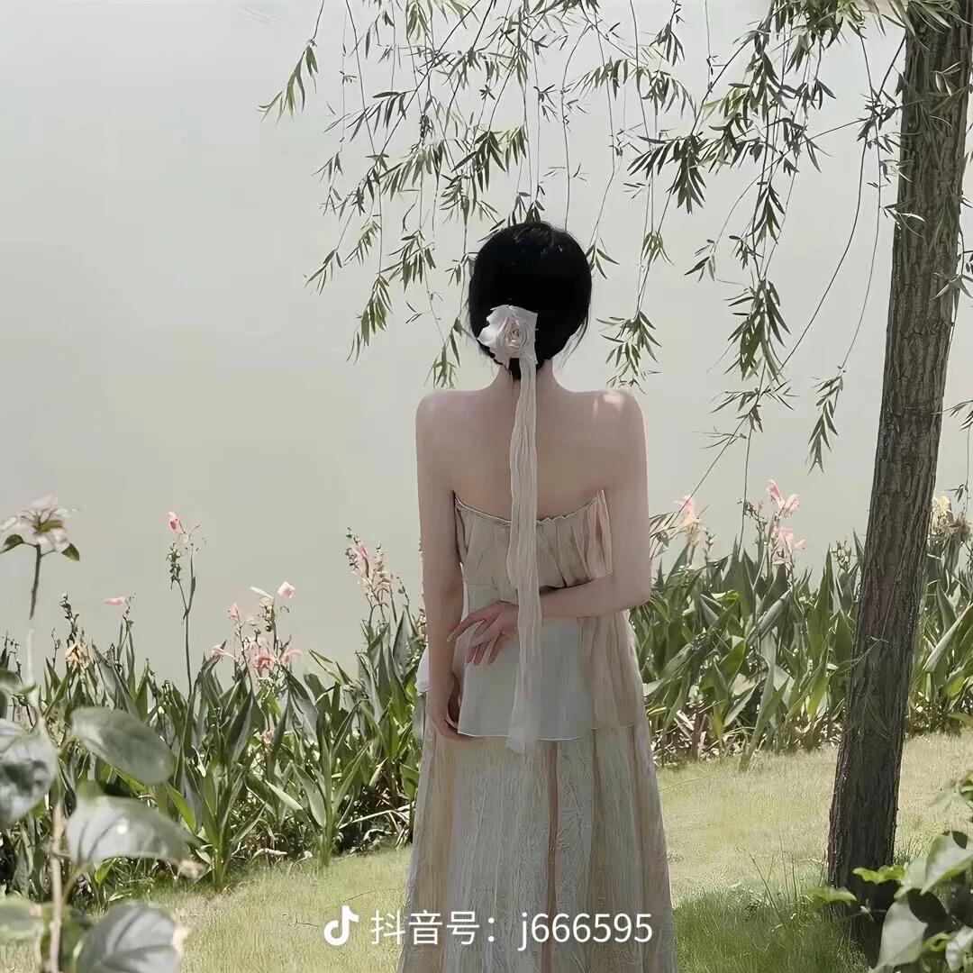 芙蓉好物