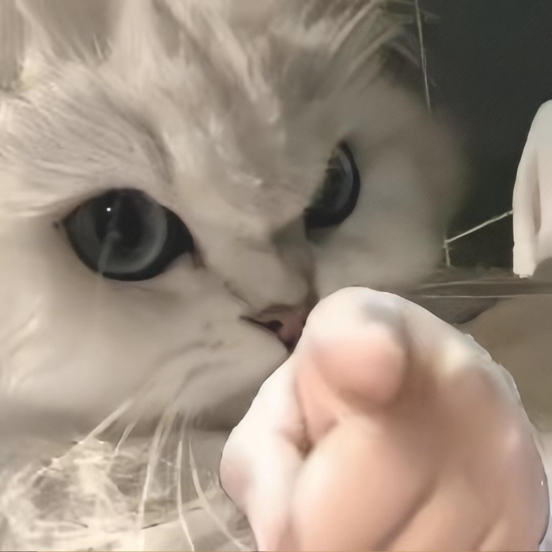 笑出两个大鼻涕泡