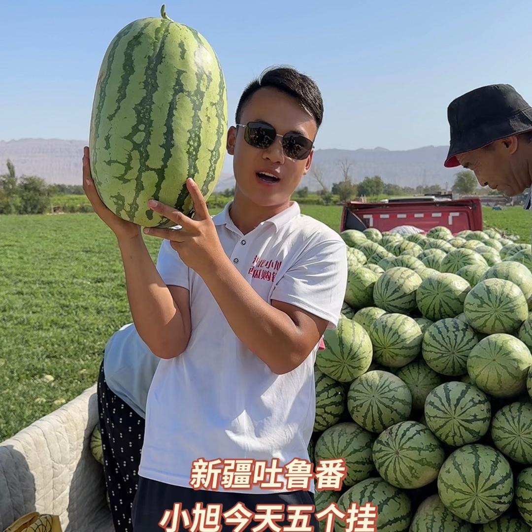 河北小旭西瓜果蔬代发全国