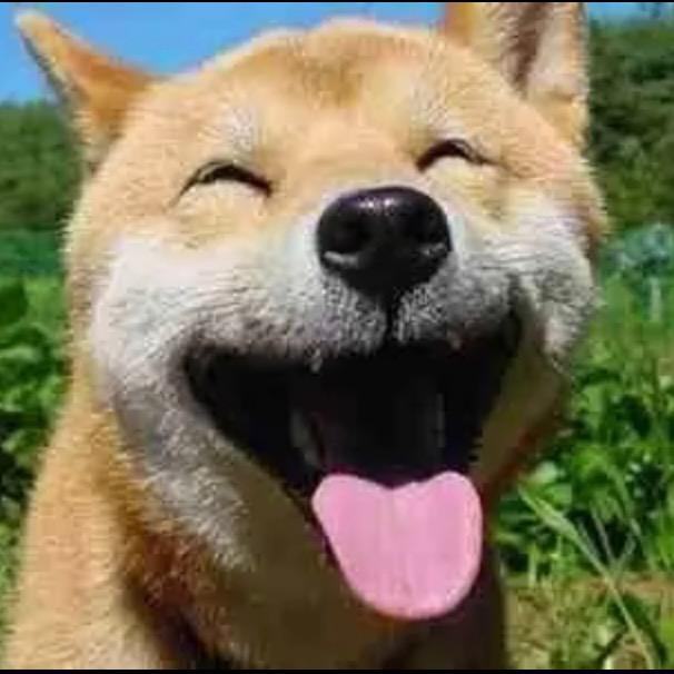 红警直播大狗