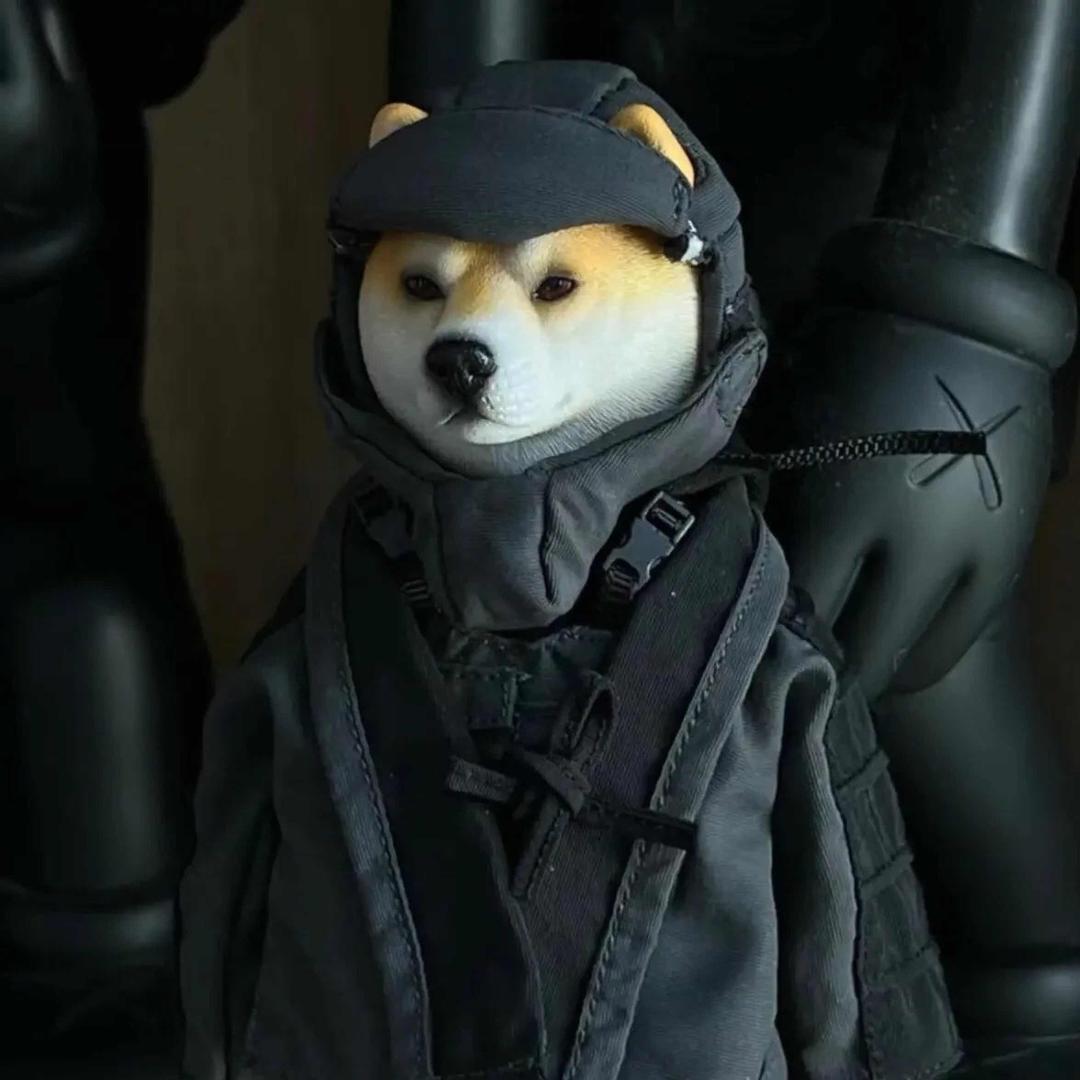 北辛