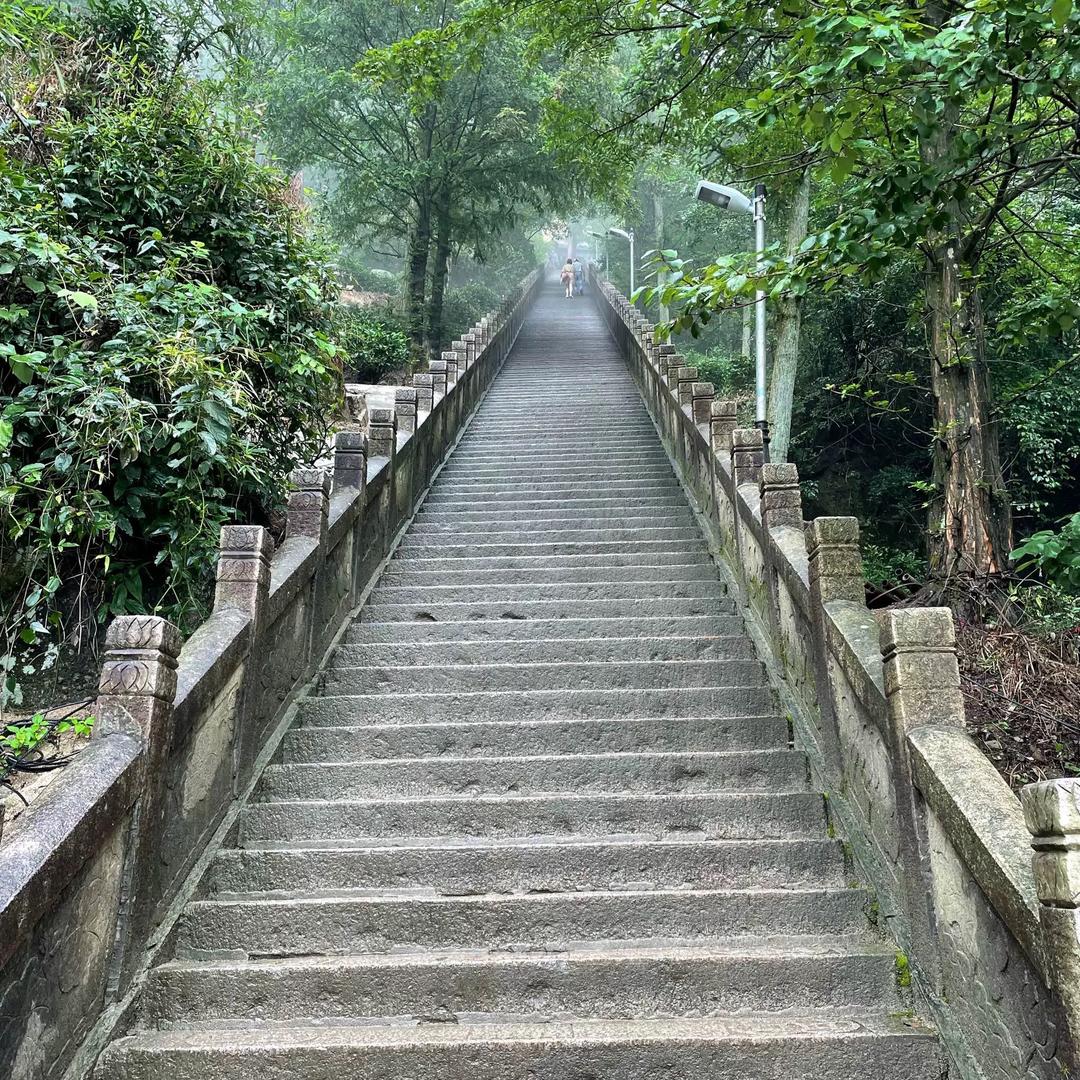 鱼丸收藏