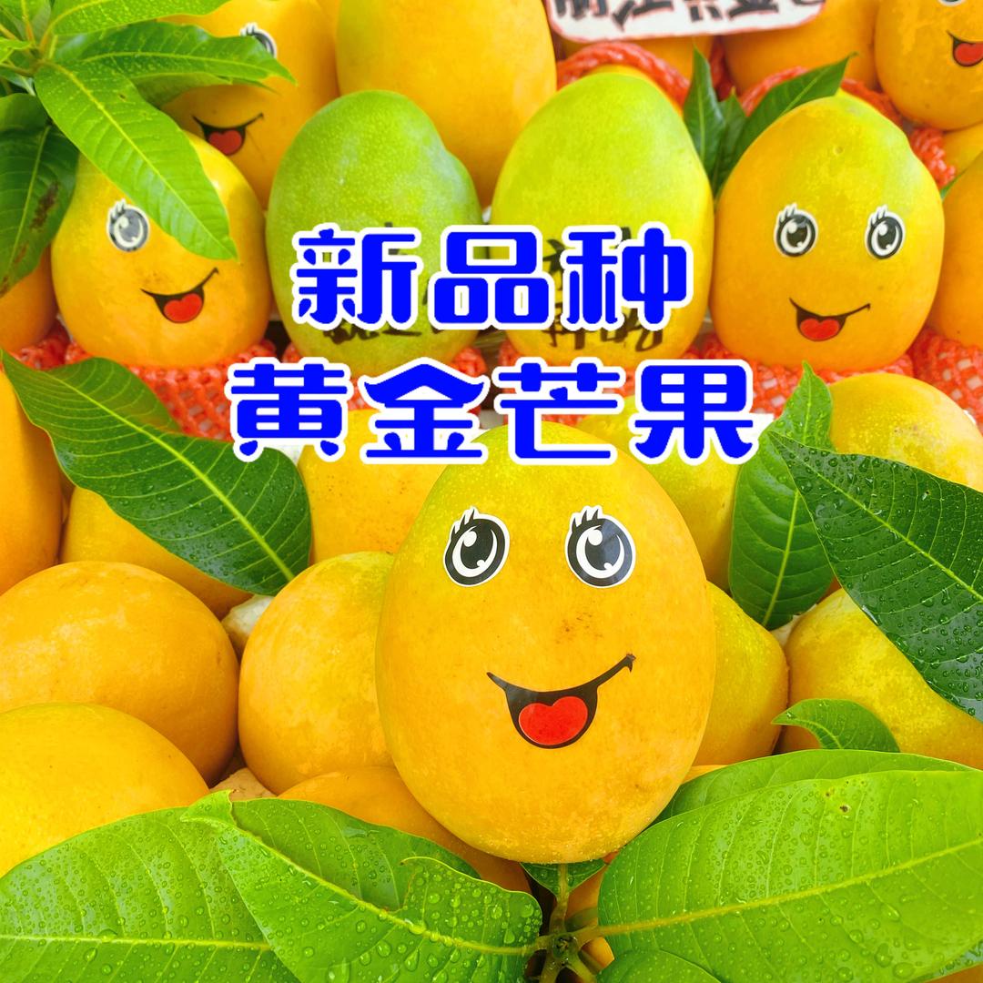 果果萧